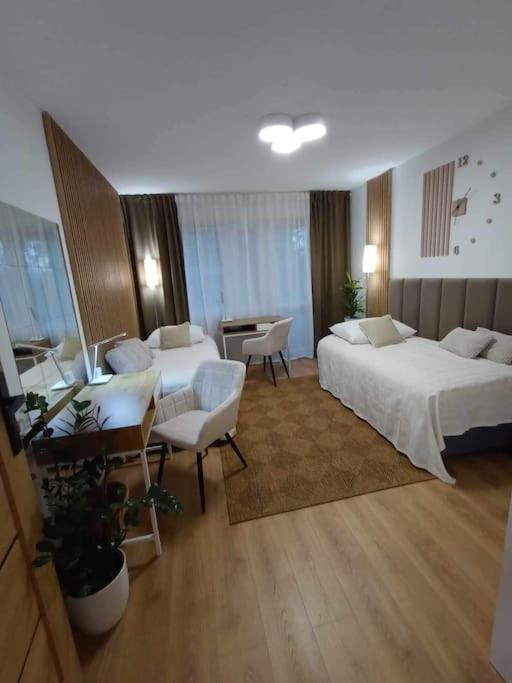 Appartement Apartament Podgorna 19 à Stary Toruń Extérieur photo