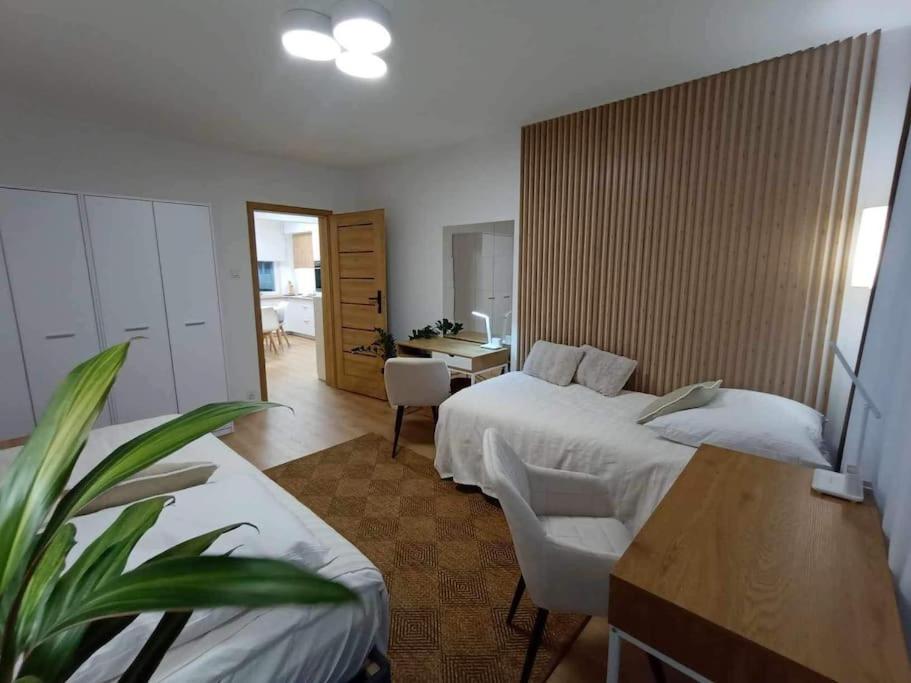 Appartement Apartament Podgorna 19 à Stary Toruń Extérieur photo