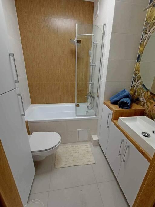 Appartement Apartament Podgorna 19 à Stary Toruń Extérieur photo