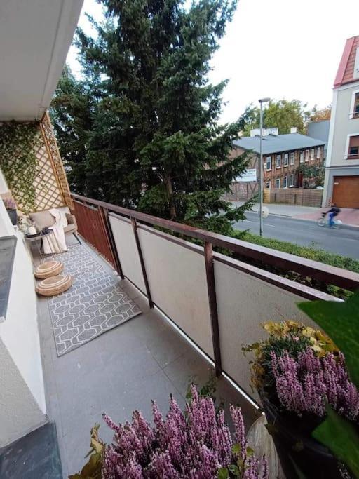 Appartement Apartament Podgorna 19 à Stary Toruń Extérieur photo