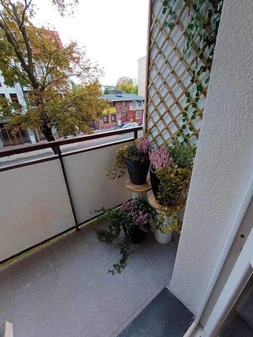 Appartement Apartament Podgorna 19 à Stary Toruń Extérieur photo